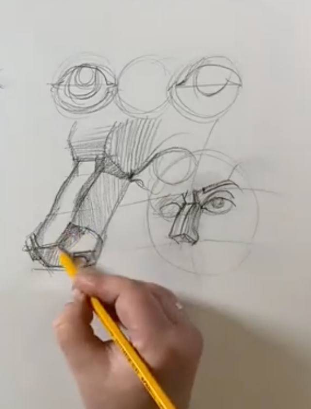 Porträt. Grundlagen. Aufbau von Auge, Nase und Mund