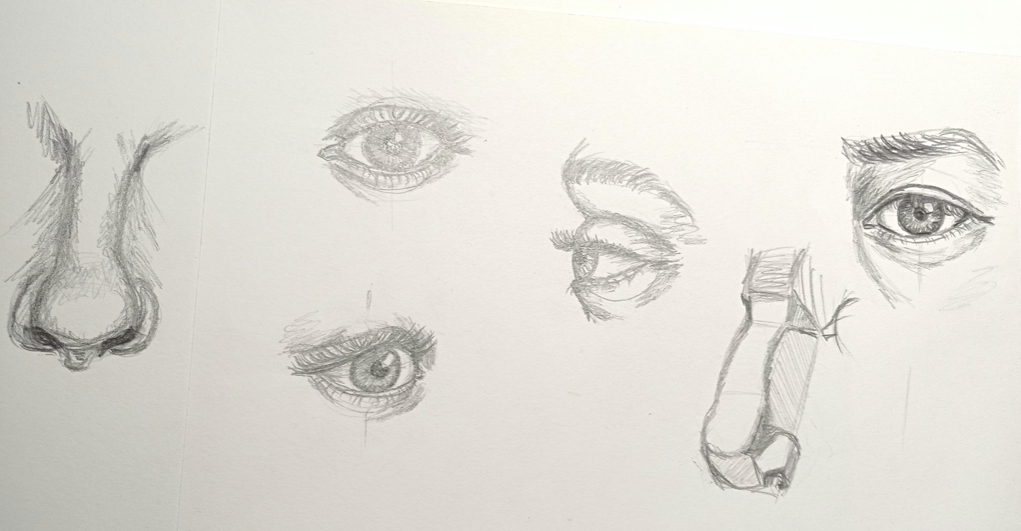 Porträt. Grundlagen. Aufbau von Auge, Nase und Mund