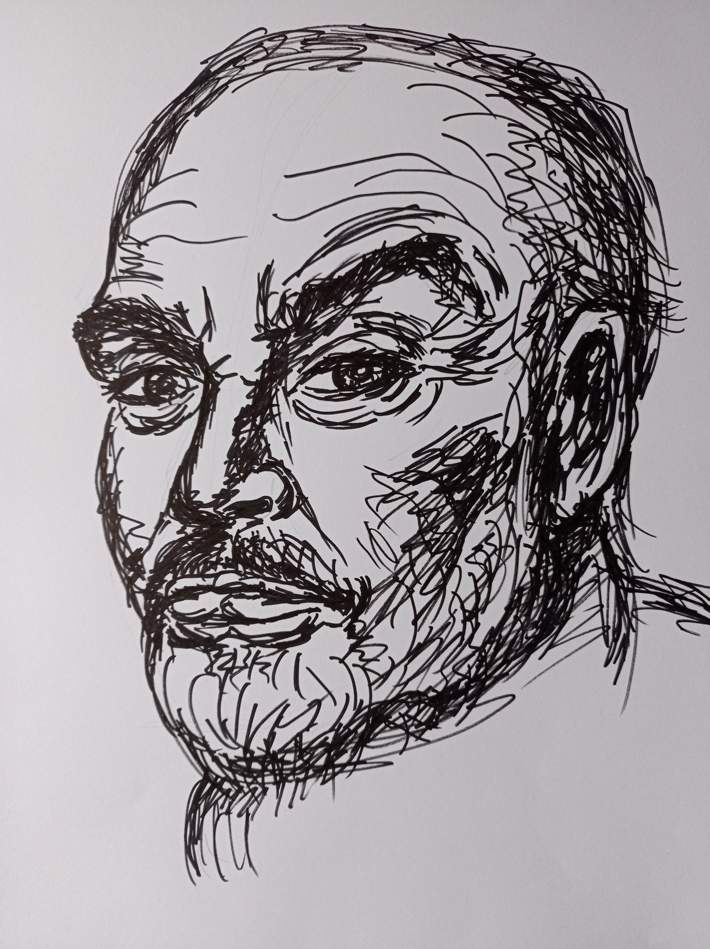 Freies Linienporträt