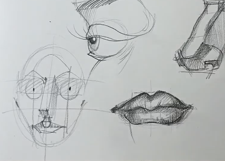Porträt. Grundlagen. Aufbau von Auge, Nase und Mund