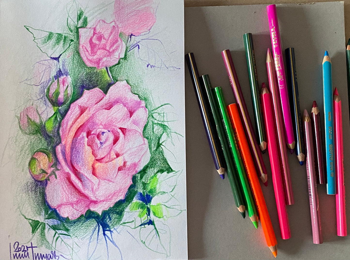 Живопись цветными карандашами. Нежная роза